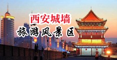 干BB洞视频中国陕西-西安城墙旅游风景区