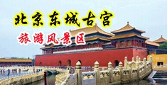 男人鸡巴擦逼逼免费视频中国北京-东城古宫旅游风景区