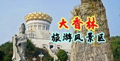 大逼视频中国浙江-绍兴大香林旅游风景区